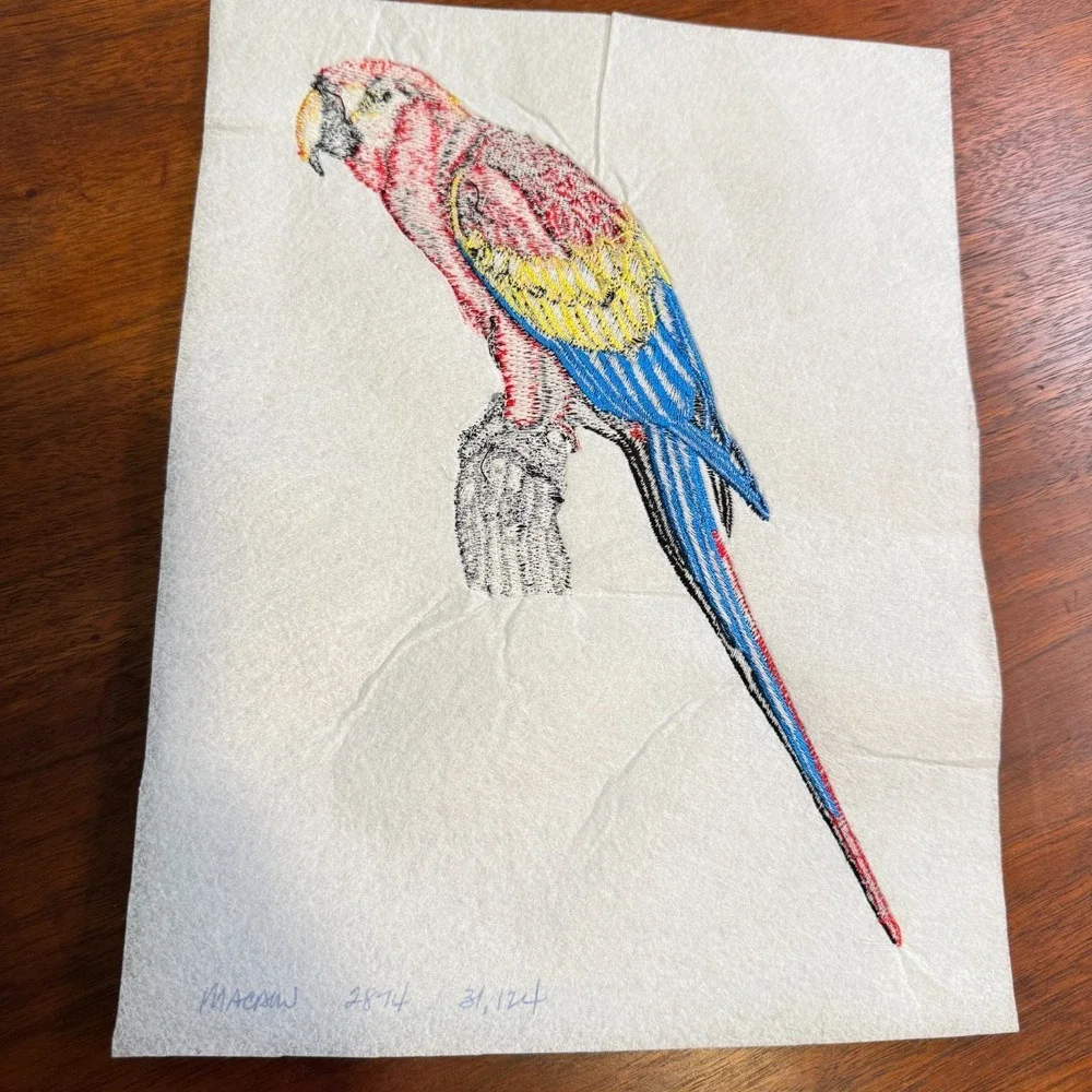 Vintage Macaw Parrot Bird Patch Portrait Applique Hand-Embroidered Sew On - Picture 5 of 5